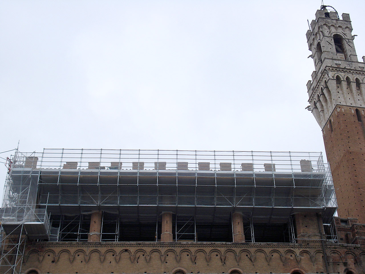 siena2